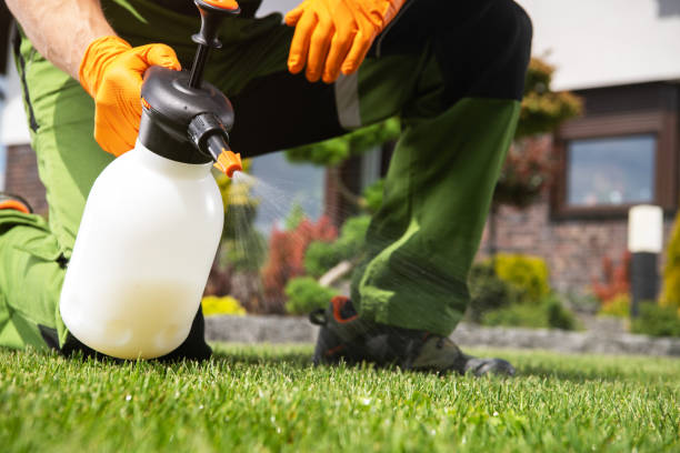 Best Pest Control for Homes  in Somerville, TX