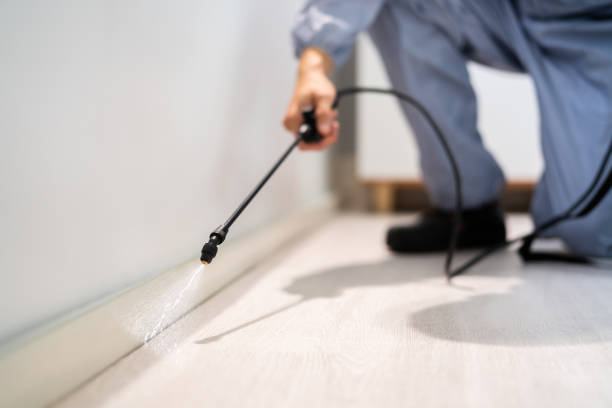 Best Pest Prevention Services  in Somerville, TX