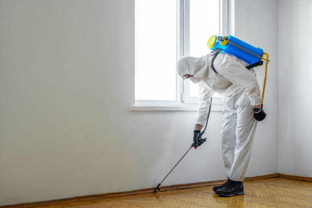 Best Pest Control Near Me  in Somerville, TX