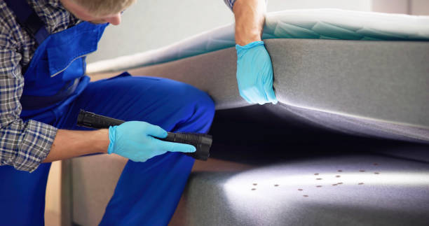 Best Emergency Pest Control  in Somerville, TX