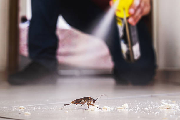 Best Rat Extermination Near Me  in Somerville, TX