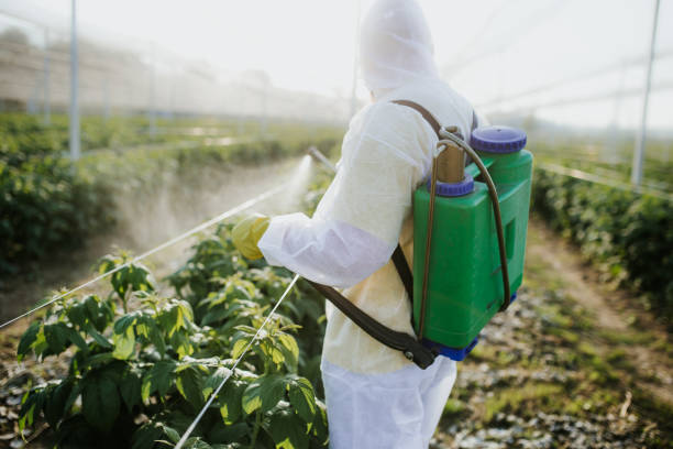 Best Exterminator Services  in Somerville, TX